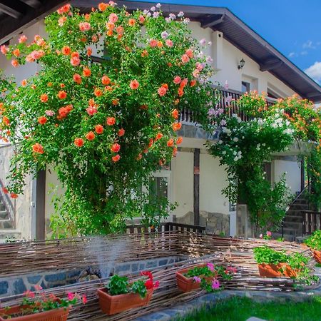 Guest House ViA Sapareva Banya Extérieur photo
