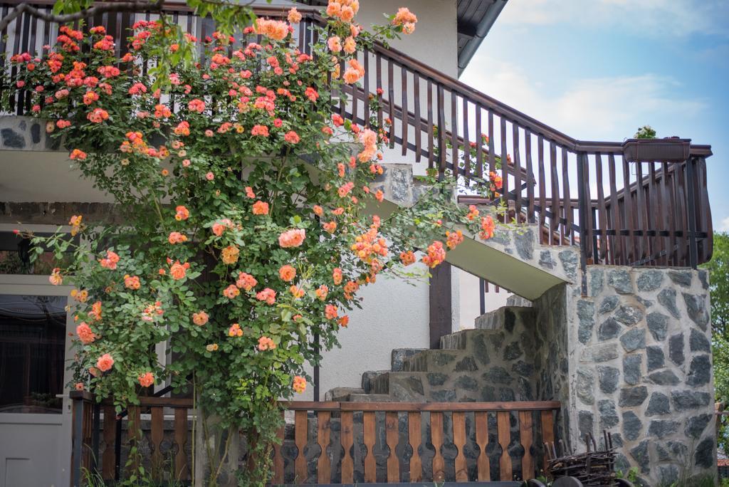 Guest House ViA Sapareva Banya Extérieur photo