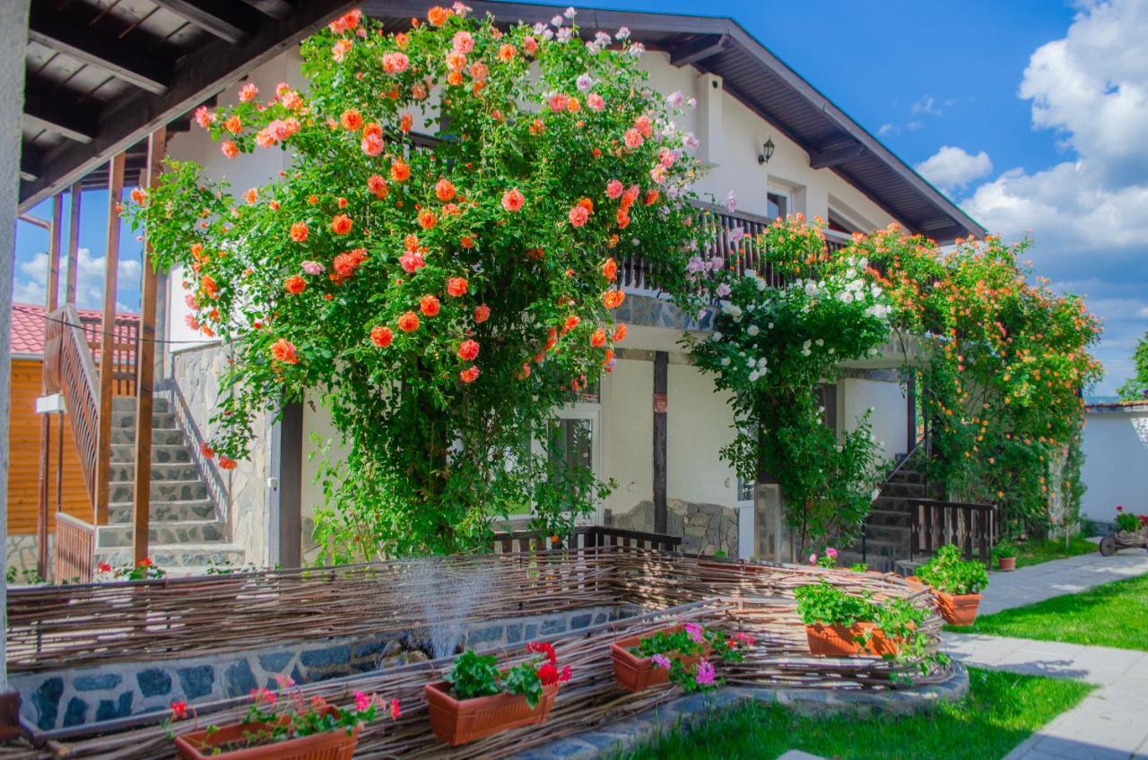 Guest House ViA Sapareva Banya Extérieur photo